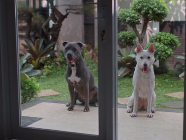 Tayang di Netflix, Ini 4 Fakta Menarik Film 'June & Kopi'
