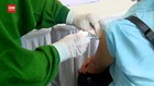 VIDEO: Ribuan Nakes Jalani Vaksinasi Massal di Denpasar