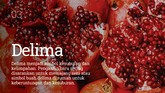 INTIP: 10 Buah Pembawa Hoki di Imlek 2021 Buah-buahan memiliki simbol tersendiri untuk Imlek. Ada beberapa jenis buah yang melambangkan keberuntungan.