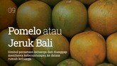 INTIP: 10 Buah Pembawa Hoki di Imlek 2021 Buah-buahan memiliki simbol tersendiri untuk Imlek. Ada beberapa jenis buah yang melambangkan keberuntungan.