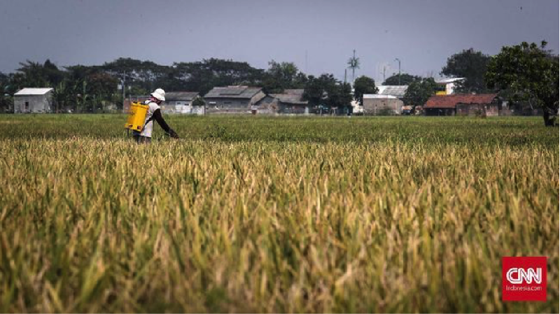 Badan Pusat Statistik (BPS) mencatat Produk Domestik Bruto (PDB) pertanian pada kuartal IV 2020 tumbuh sebesar 2,59% secara year on year (yoy).