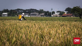 BPS Catat Sektor Pertanian Tumbuh 2,59% di Kuartal IV 2020