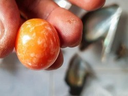 Nelayan Thailand Temukan Jeruk Langka Senilai Rp 4,7 M!