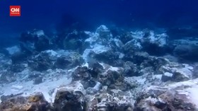 VIDEO: 2 Kapal Motor Tabrak Terumbu Karang Raja Ampat