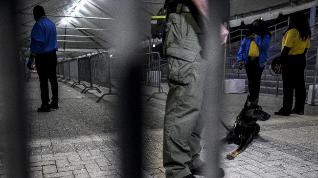 FOTO: AS Gunakan Anjing Pelacak untuk Deteksi Corona