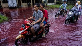 Banjir Air Merah Pekalongan, Kades Sebut dari Pewarna Batik