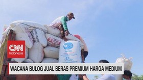 VIDEO: Wacana Bulog Jual Beras Premium Harga Medium