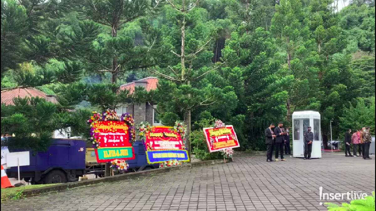 Pernikahan Ali Syakieb