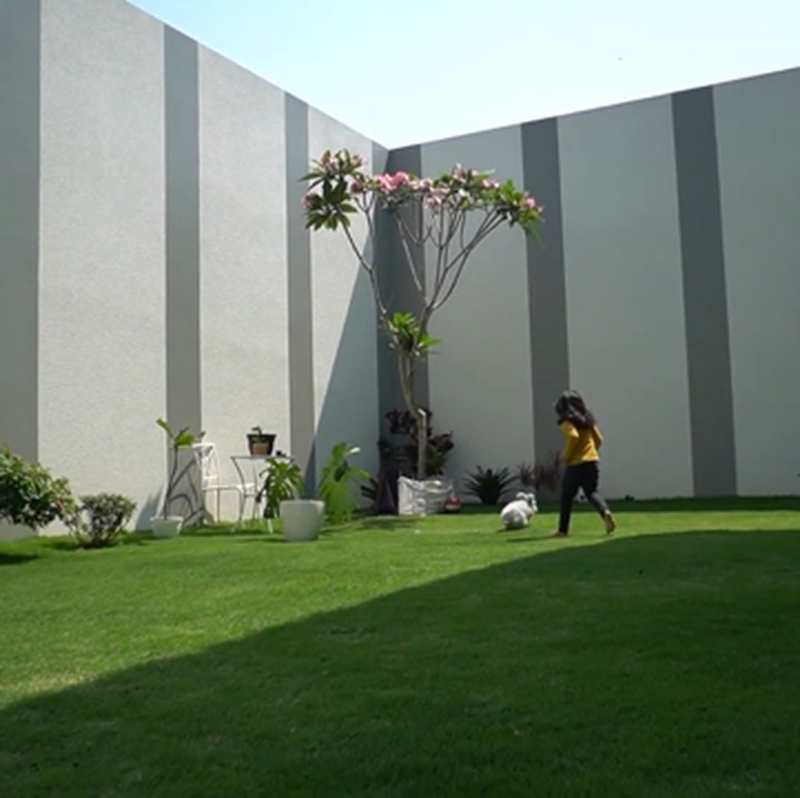 <p>Rumah yang ditinggali oleh Hengky dan Sonya nampak sangat nyaman dan asri nih, Bunda. Terlihat dari halaman belakangnya yang sangat luas dan dilapisi dengan rumput sintetis.  (Foto: youtube HK Family)</p>