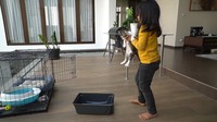 <p>Tak hanya itu, Hengky juga memiliki kolam besar  di rumahnya nih, Bunda. Dikelilingi dengan lantai kayu, Hengky bisa meletakkan kandang kucing di dekat kolam. (Foto: youtube HK Family)</p>