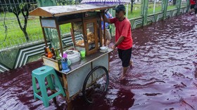 Netizen Sindir Balik Mega: Tukang Bakso Tak Nilep Dana Bansos