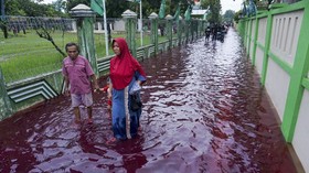 FOTO: Pewarna Batik Biang Kerok Banjir Merah di Pekalongan