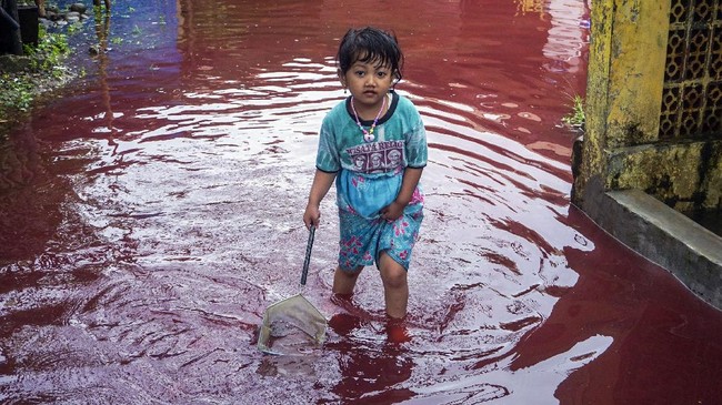 FOTO: Pewarna Batik Biang Kerok Banjir Merah di Pekalongan