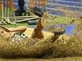 SMASHOT: Menerjang Rintangan, Menepis Keraguan