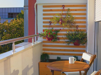 11 Tanaman Vertical Garden yang Tahan Panas & Hujan untuk Mempercantik Rumah