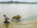 Banjir di Subang Rendam 3 Kecamatan