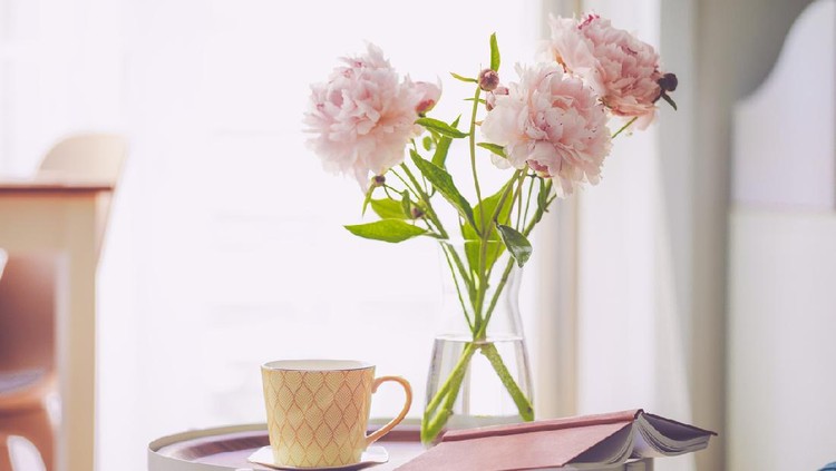 bunga peony Summer mood