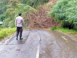 Jalan Akses Utama Banjarnegara-Dieng Putus Tertimbun Longsor