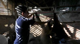 FOTO: Menjaga Kearifan Lokal Mesir Lewat Permadani