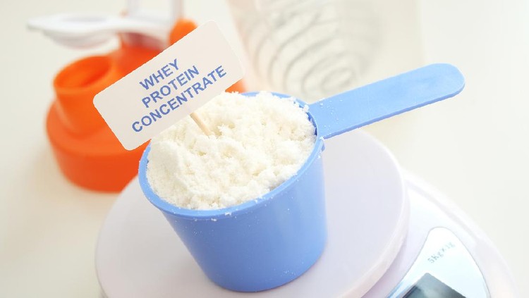 Protein Bubuk