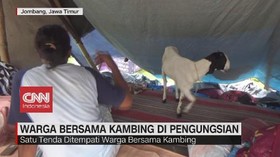 VIDEO: Warga Bersama Kambing Di Pengungsian