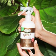 5 Produk Lotion dengan Bahan Utama Coconut Oil, Cocok Buat Kulit Super Kering!