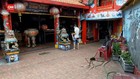 VIDEO: Umat Tionghoa Tiadakan Ritual Memandikan Patung Dewa