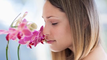 TIPS MERAWAT BUNGA ANGGREK AGAR TUMBUH SUBUR: REPOTING ANGGREK