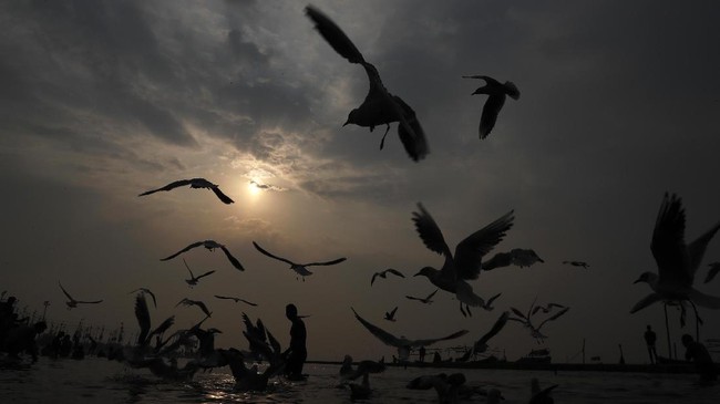 FOTO: Magh Mela, Upacara Mandi Bersihkan Dosa di India