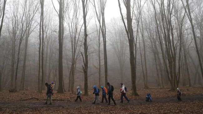 Jangan mengaku pendaki kalau belum pernah menyelesaikan rute trekking di National Blue Trail.