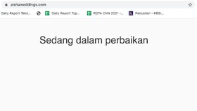 Analisis Drone Emprit soal Situs Nikah Muda Aisha Weddings