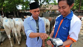Peran Mantri BRI dalam Upaya Bangkitkan UMKM