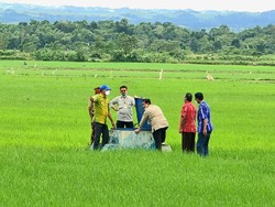 Bupati Sumba Tengah Apresiasi Food Estate: Berharga di Hati Masyarakat