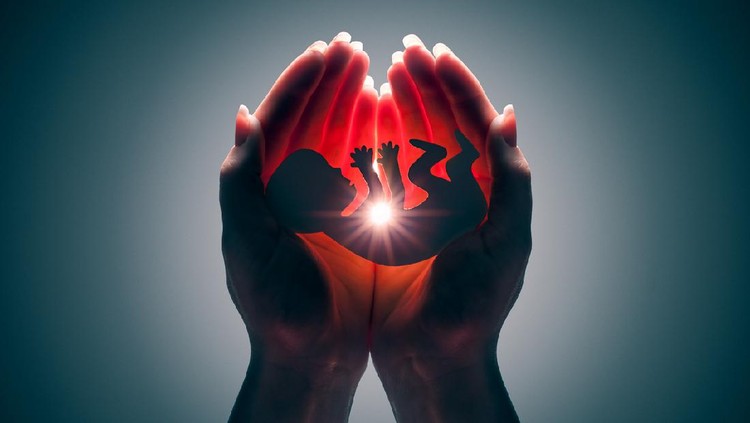 embryo silhouette in woman hand