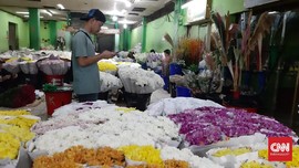 Jerit Pedagang Bunga, Omzet Valentine Layu di Era Corona