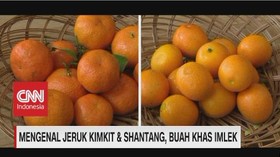 VIDEO: Mengenal Jeruk Kimkit & Shantang, Buah Khas Imlek