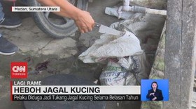 VIDEO: Penganiayaan Hewan Diduga Alami Gangguan Psikologis
