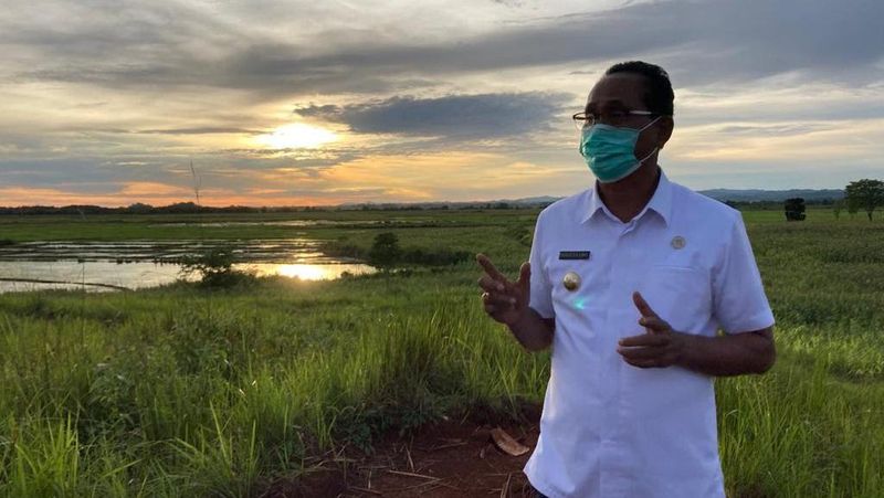 Bupati Sumba Tengah Paulus Limu mengaku bangga sekaligus jatuh hati terhadap program food estate yang berada di 5 zona wilayah kerjanya.