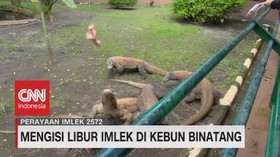 VIDEO: Mengisi Libur Imlek di Kebun Binatang