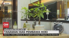 VIDEO: Tanaman Hias Pembawa Hoki