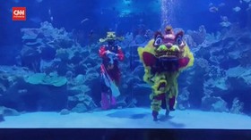 VIDEO: Atraksi Barongsai dalam Akuarium Malaysia
