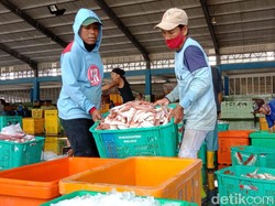Harga Ikan Laut di Lamongan Naik Terdampak Cuaca Buruk