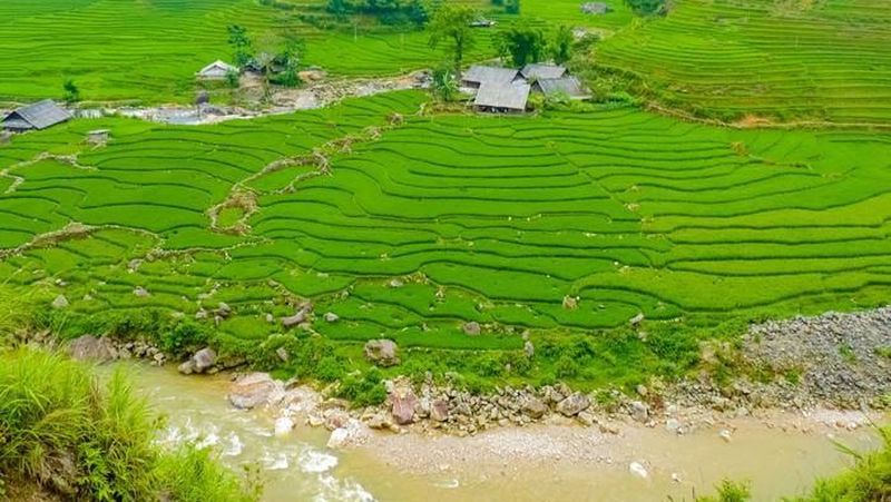 Tokoh Masyarakat Kabupaten Sumba Tengah, Samuel S. Pekulimu mengapresiasi keberhasilan pemerintah membangun dan mengelola food estate di NTT.
