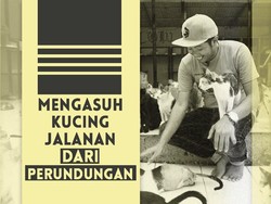 Bimbim CLOW Sosok Penolong Ratusan Kucing Jalanan Terlantar