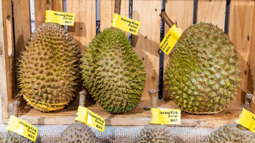 Tsunami Durian, Harga Musang King Turun Jadi Rp41 Ribu di Malaysia