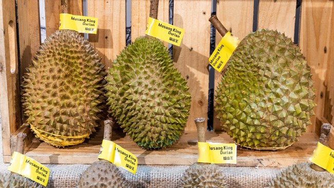 Sebuah durian musang king di Malaysia laku terjual sampai Rp618 juta dalam sebuah lelang. 