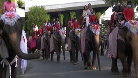 VIDEO: Unik, Pengantin Naik Gajah Di Pesta Pernikahan Thailan