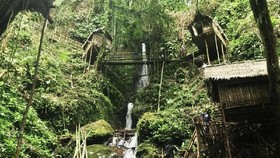 Arsitektur Tradisional nan Unik di Rumah Pohon Tavanggeli