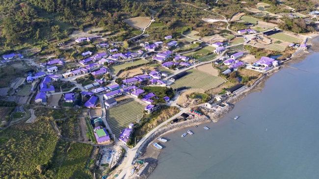 Penggemar warna ungu sampai penggemar BTS pasti senang diajak tamasya ke Pulau Banwol di Korea Selatan.