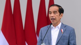 15 Ribu Hektare Lahan Disiapkan Buat Food Estate di NTT